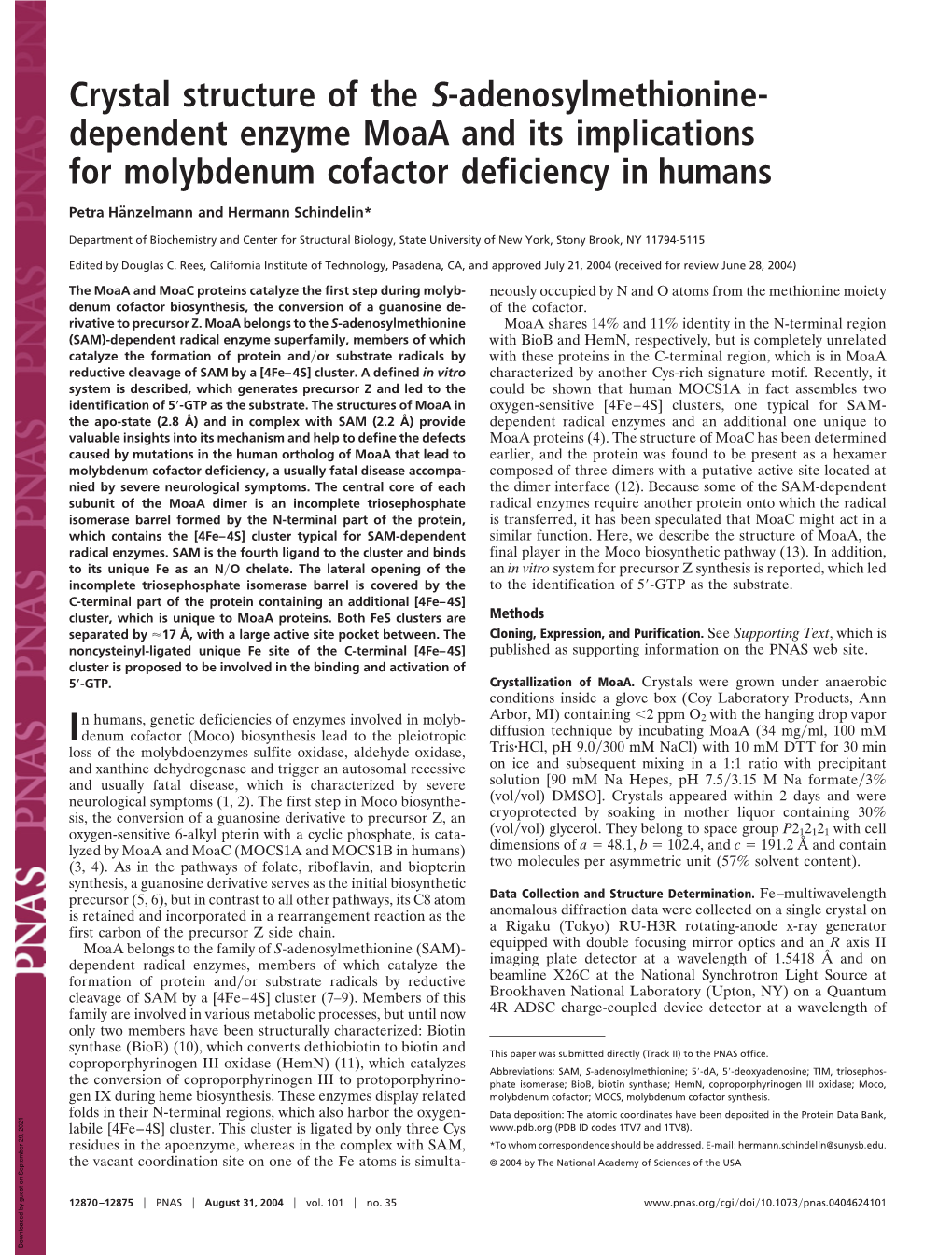 Dependent Enzyme Moaa and Its Implications for Molybdenum Cofactor Deficiency in Humans