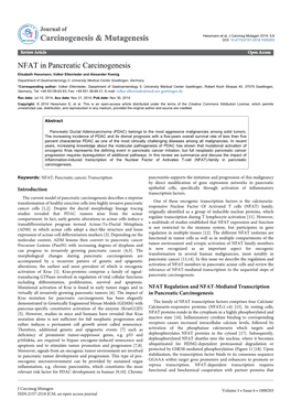 NFAT in Pancreatic Carcinogenesis
