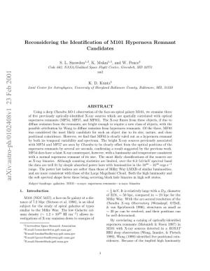 Reconsidering the Identification of M101 Hypernova Remnant