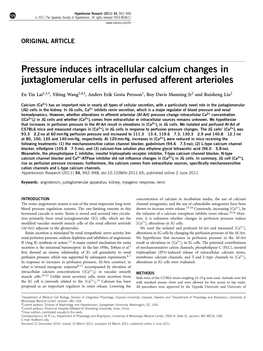 Pressure Induces Intracellular Calcium Changes in Juxtaglomerular Cells in Perfused Afferent Arterioles