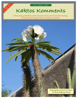 Pachypodium Lamerei in Bloom by Karla Halpaap-Wood