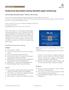 Anatomical Description During Standard Upper Endoscopy