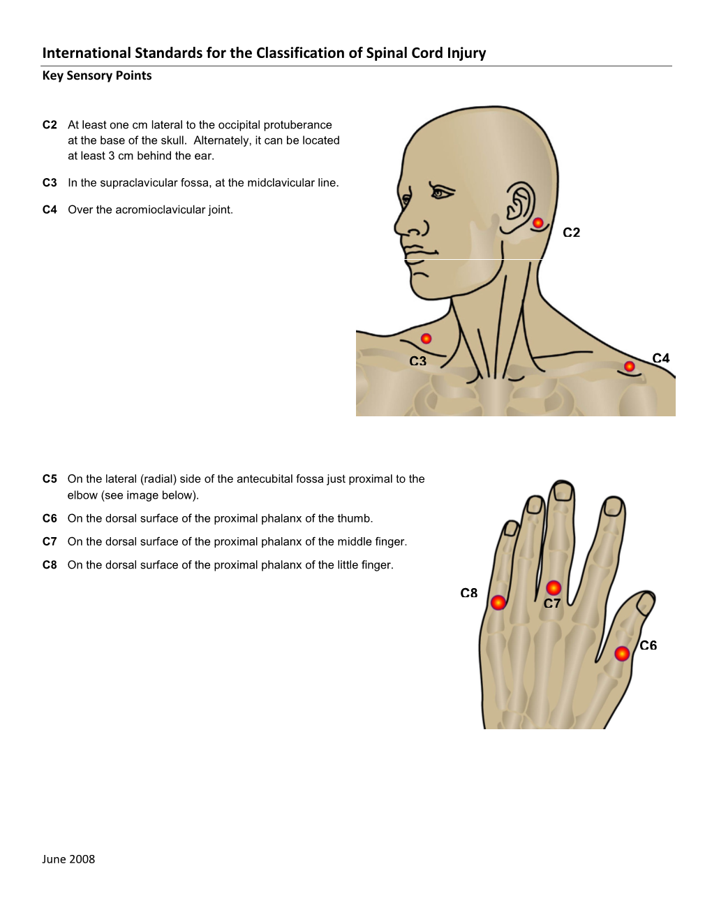 International Standards for the Classification of Spinal Cord Injury Key Sensory Points