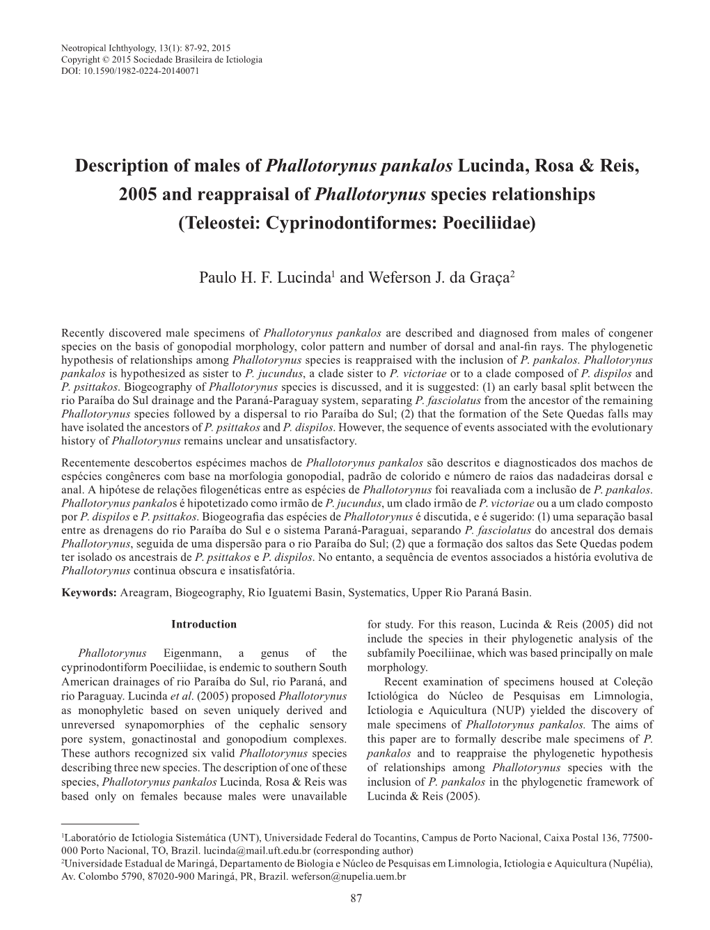 Description of Males of Phallotorynus Pankalos Lucinda, Rosa & Reis