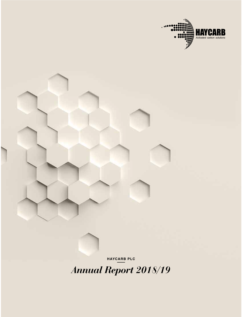 The the Annual Report 2018/19