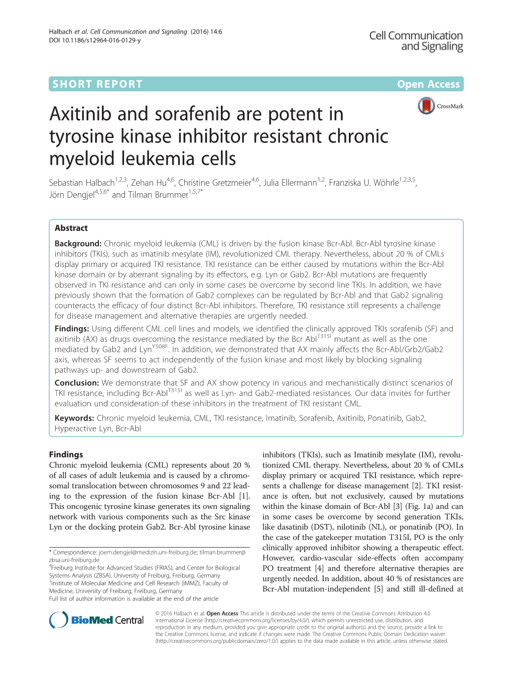 Axitinib and Sorafenib Are Potent in Tyrosine Kinase Inhibitor Resistant