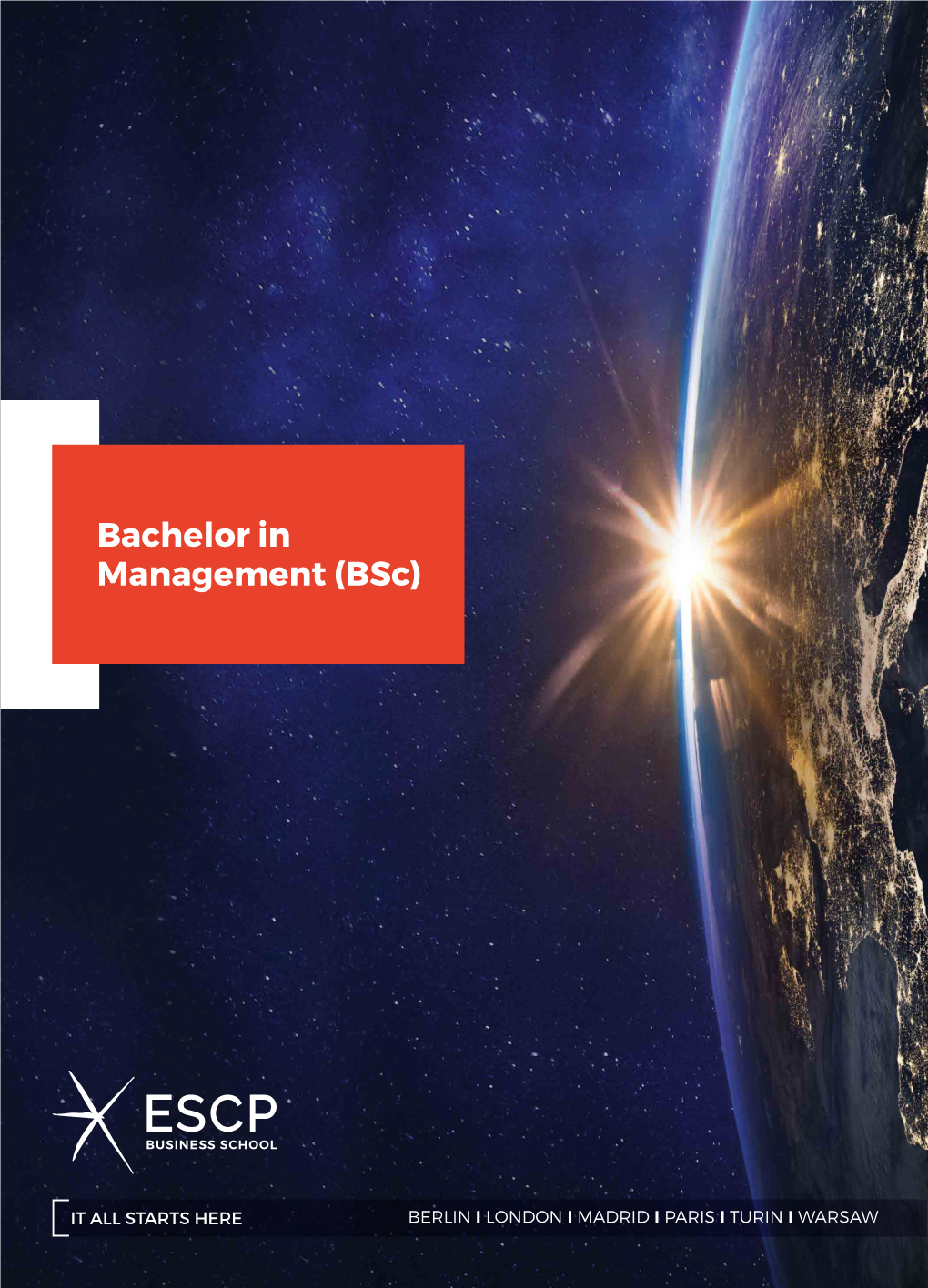 Bachelor in Management (Bsc) Table of Contents