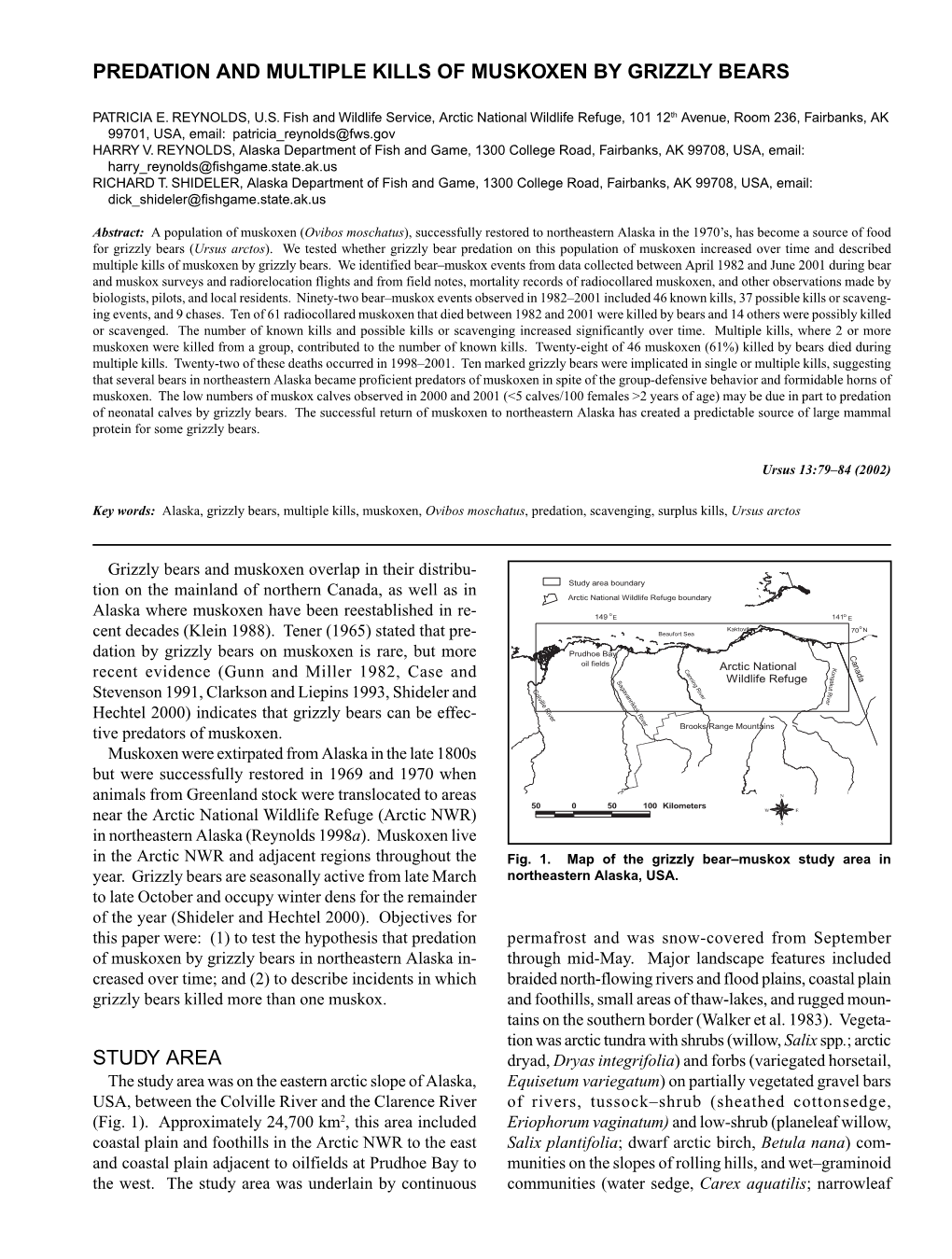 Predation and Multiple Kills of Muskoxen by Grizzly Bears