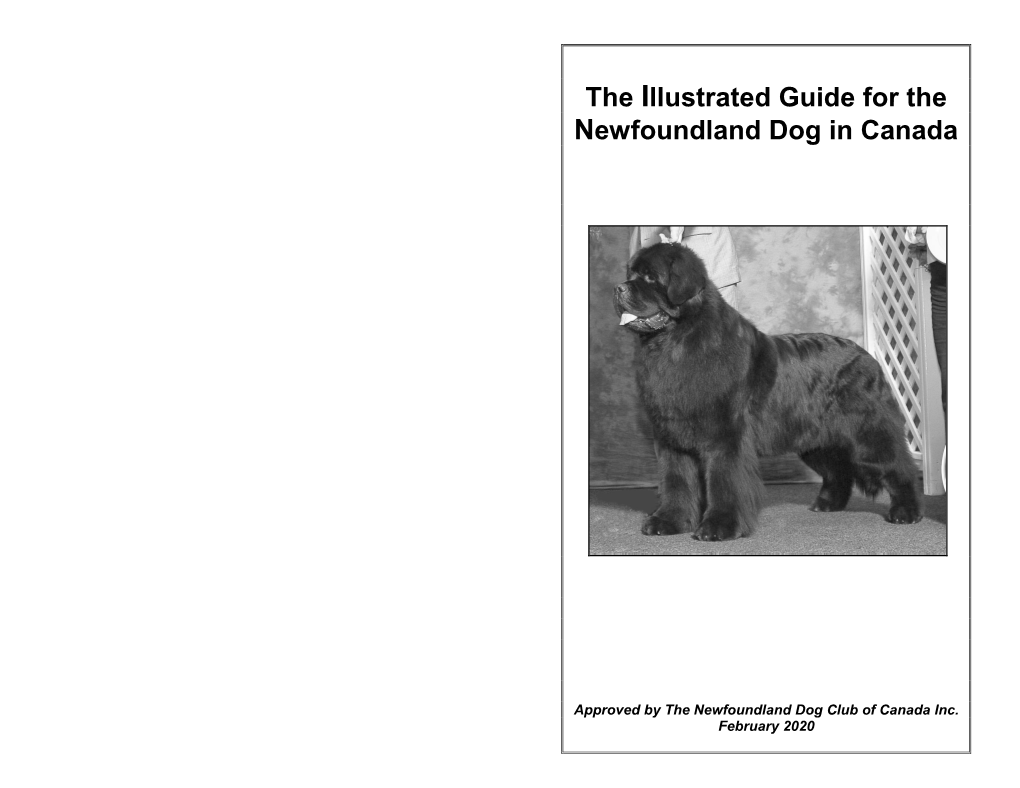 The Illustrated Guide for the Newfoundland Dog in Canada