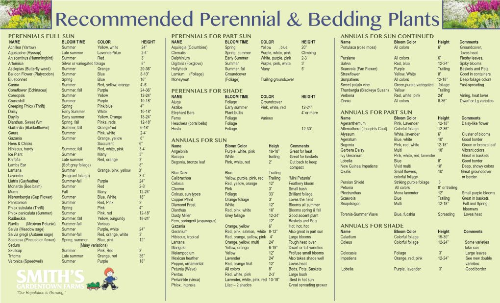 Recommended Perennial & Bedding Plants