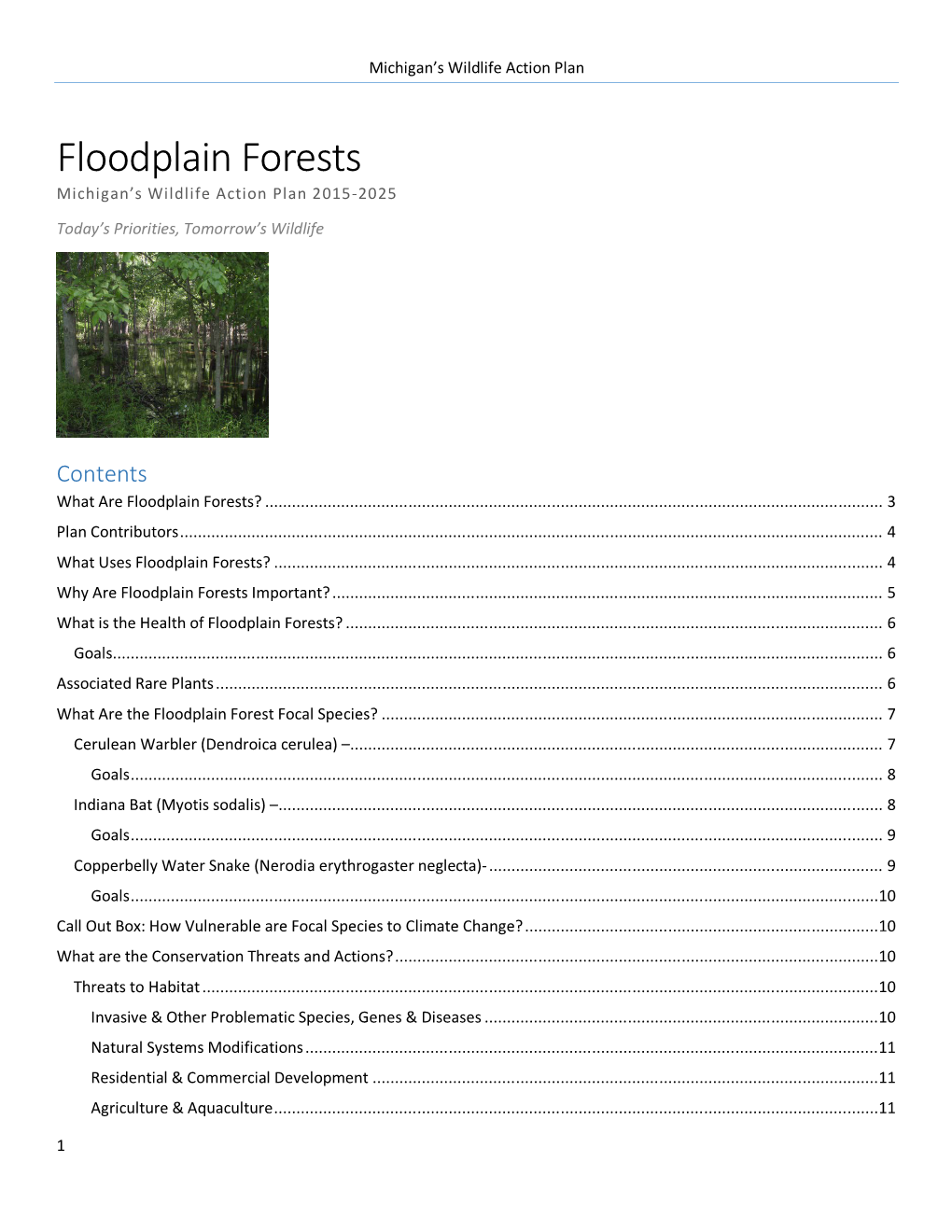 Wildlife Action Plan: Floodplain Forests (Accessible)
