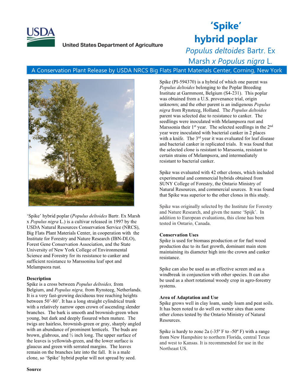 'Spike' Hybrid Poplar (Populus Deltoides X Populus Nigra) Release Brochure