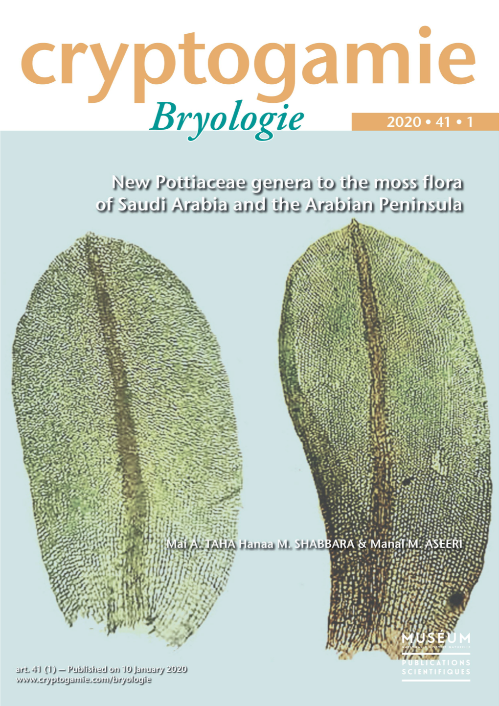 New Pottiaceae Genera to the Moss Flora of Saudi Arabia and the Arabian Peninsula