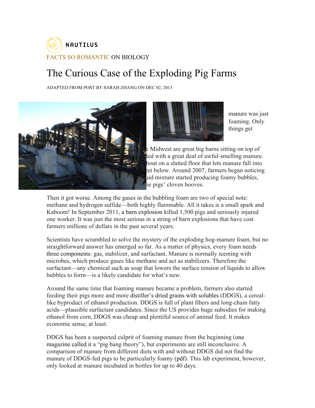 The Curious Case of the Exploding Pig Farms