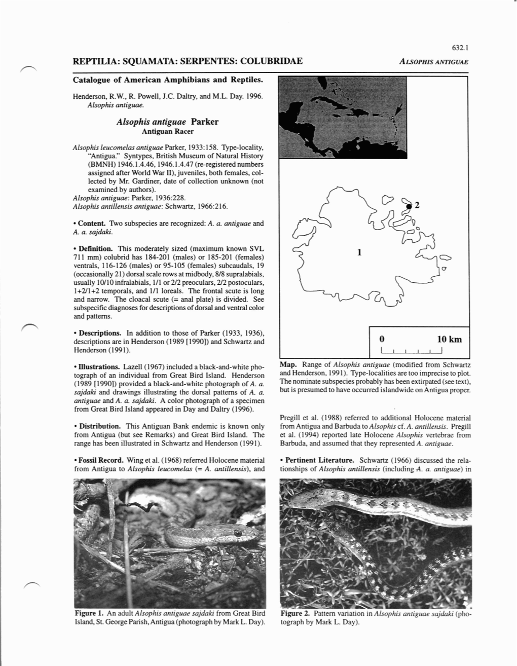 REPTILIA: SQUAMATA: SERPENTES: COLUBRIDAE ALSOPHISANTIGVAE N Catalogue of American Amphibians and Reptiles