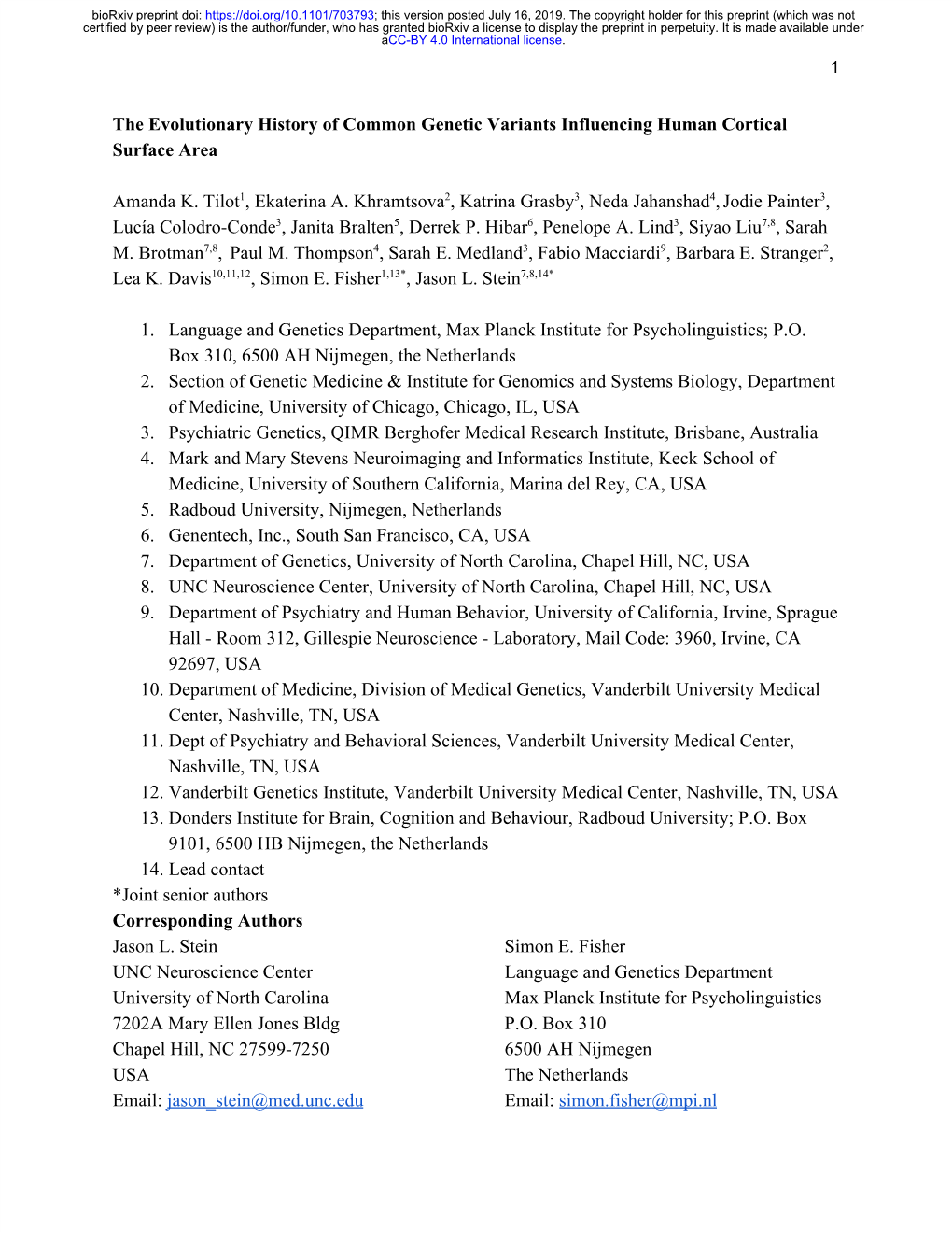 The Evolutionary History of Common Genetic Variants Influencing Human Cortical Surface Area