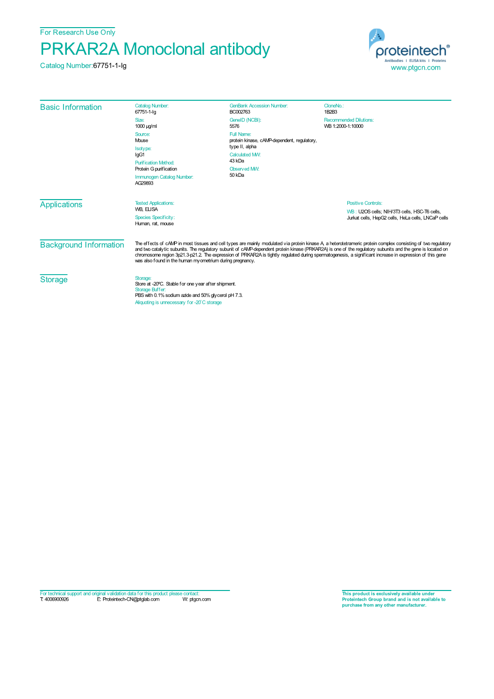 PRKAR2A Monoclonal Antibody