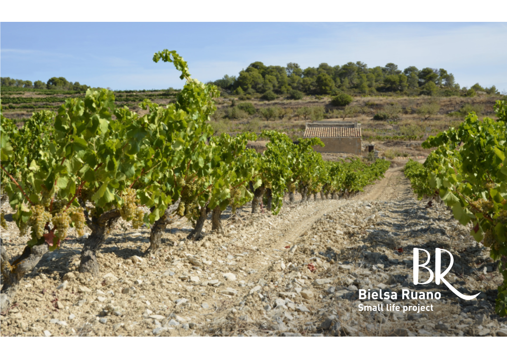 Small Life Project Bielsa Ruano Vins, Is a Small Family Project That Began in 2017 in the Beautiful Town of Vilalba Dels Arcs Located in the D.O