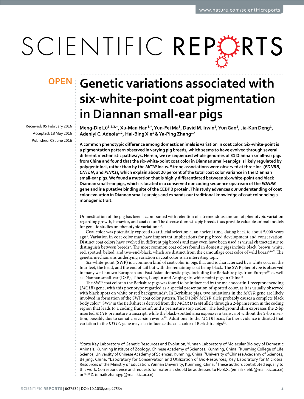 Genetic Variations Associated with Six-White-Point Coat Pigmentation In