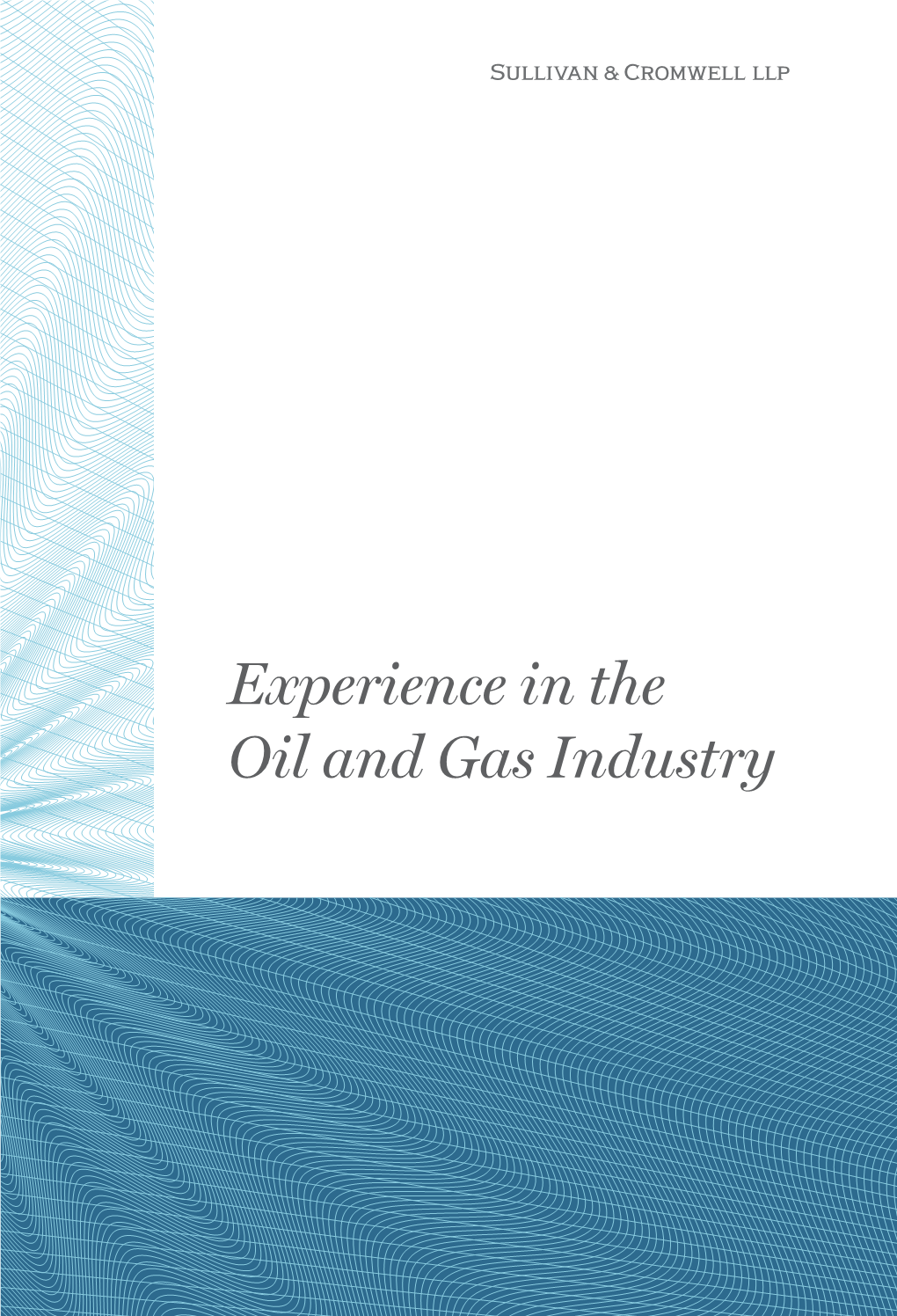 Experience in the Oil and Gas Industry “They Go to Great Lengths to Understand Your Industry, Business and Specific Objectives