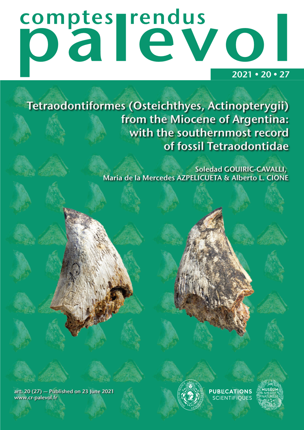 Osteichthyes, Actinopterygii) from the Miocene of Argentina: with the Southernmost Record of Fossil Tetraodontidae