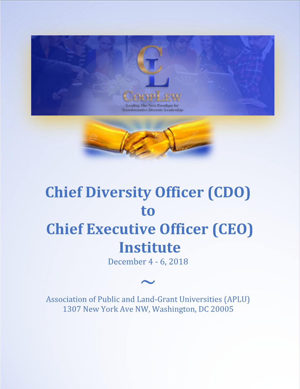Chief Diversity Officer (CDO) to Chief Executive Officer (CEO) Institute