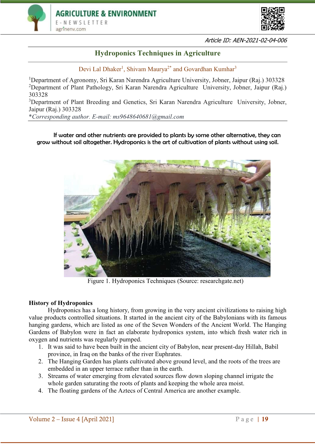 Hydroponics Techniques in Agriculture