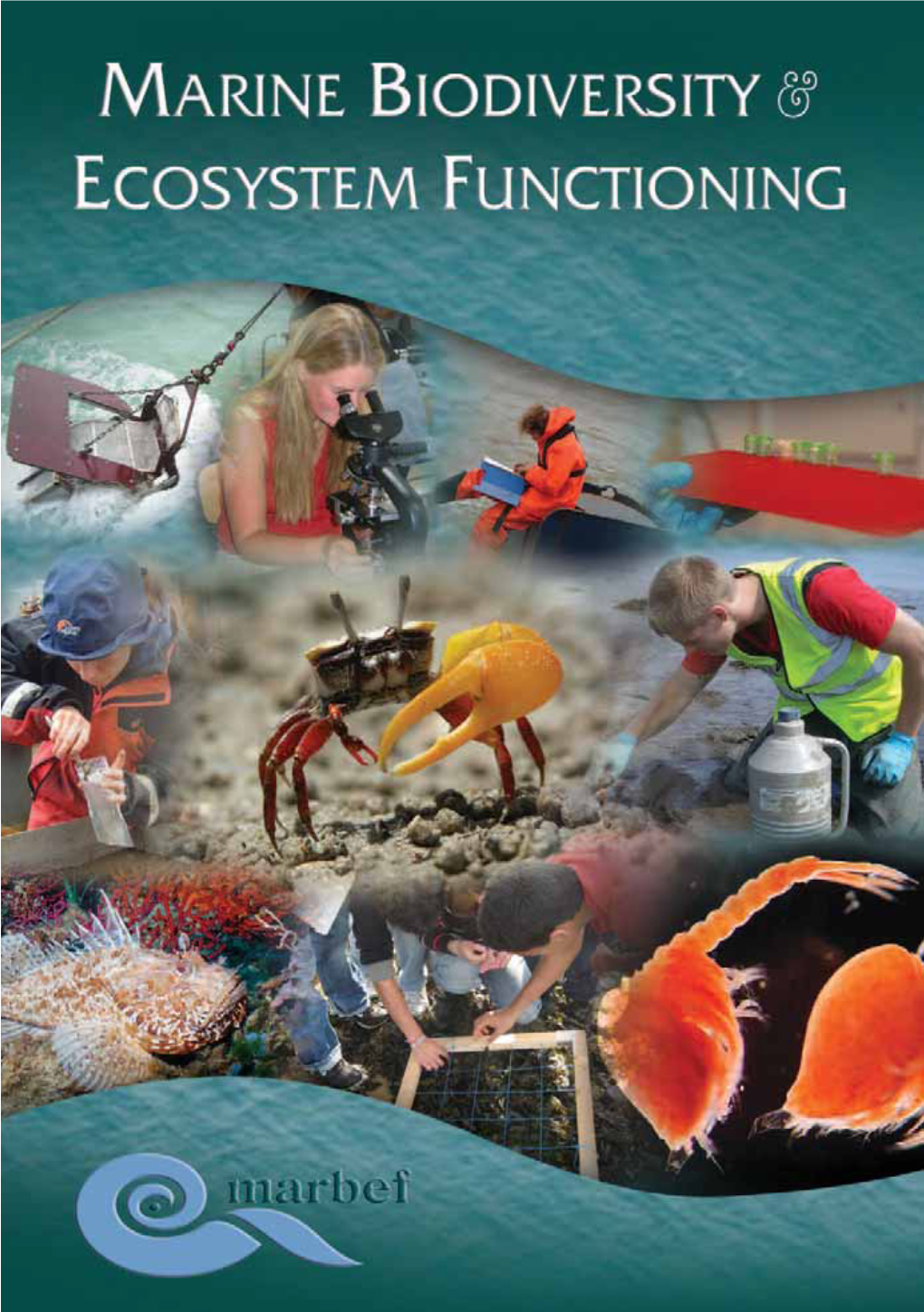 Marine Biodiversity & Ecosystem Functioning