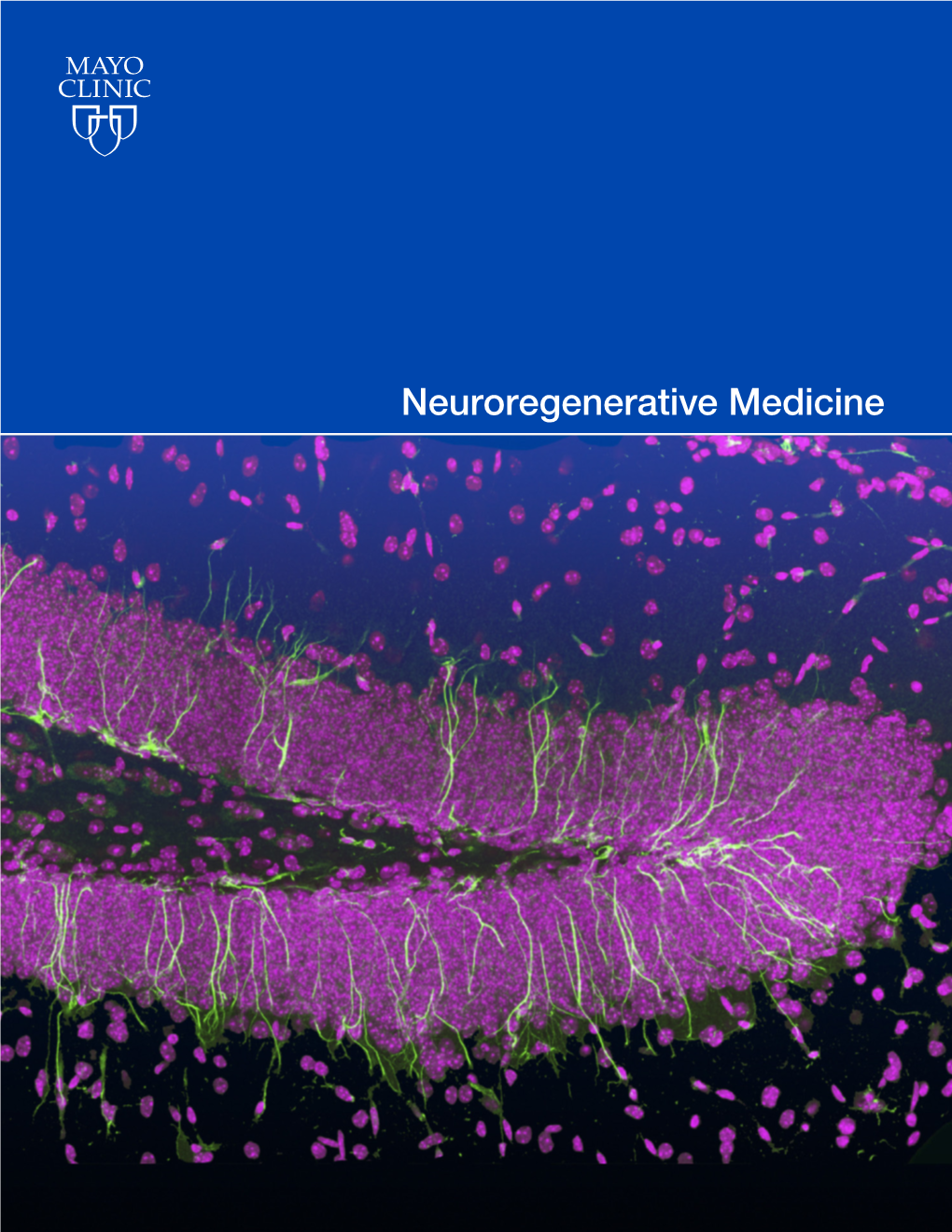 Neuroregenerative Medicine Booklet