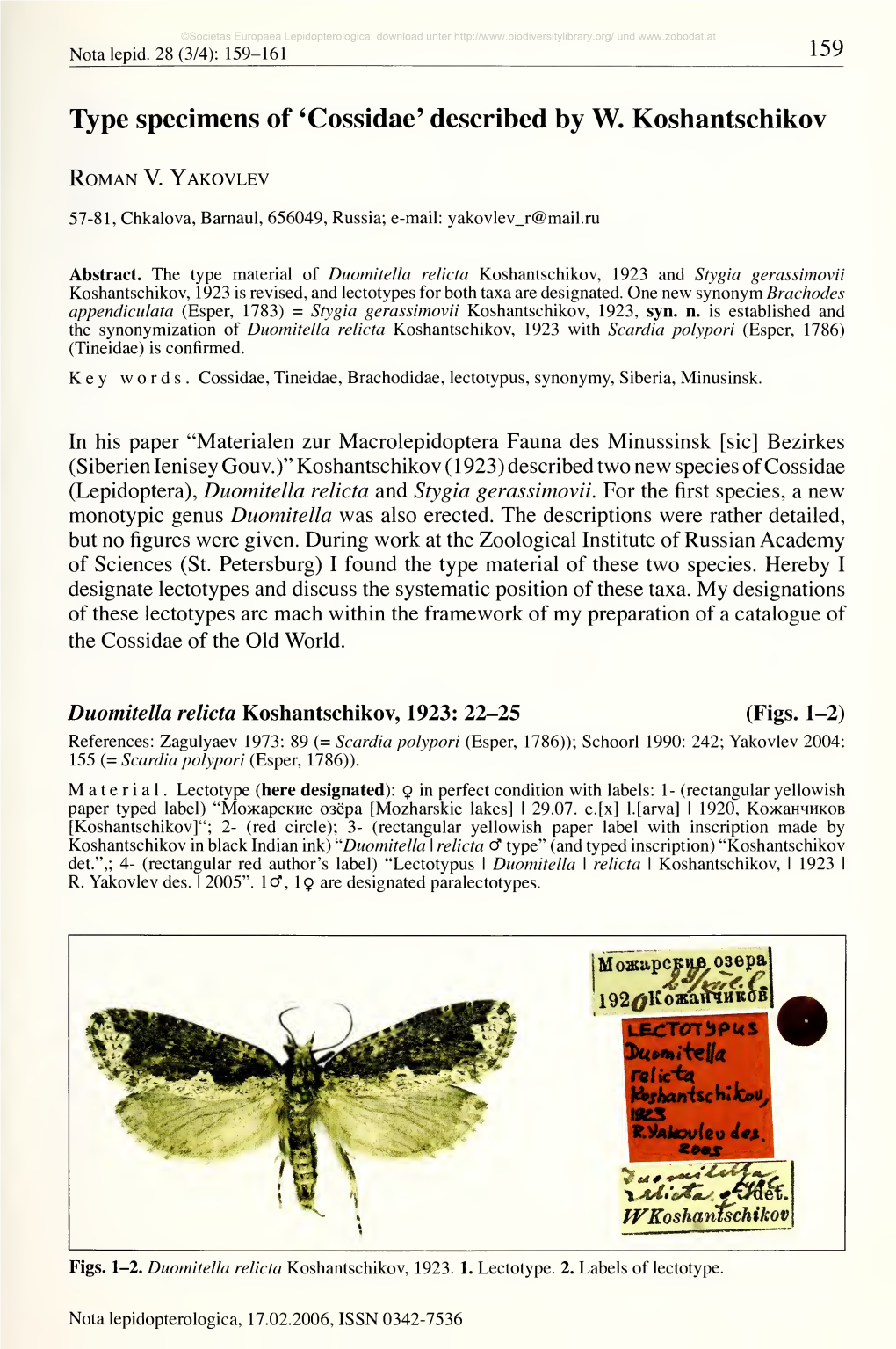 Nota Lepidopterologica, 17.02.2006, ISSN 0342-7536 ©Societas Europaea Lepidopterologica; Download Unter Und