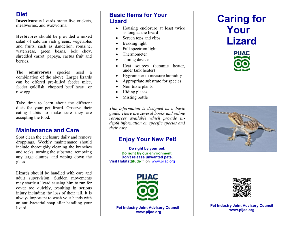 Caring for Your Lizard