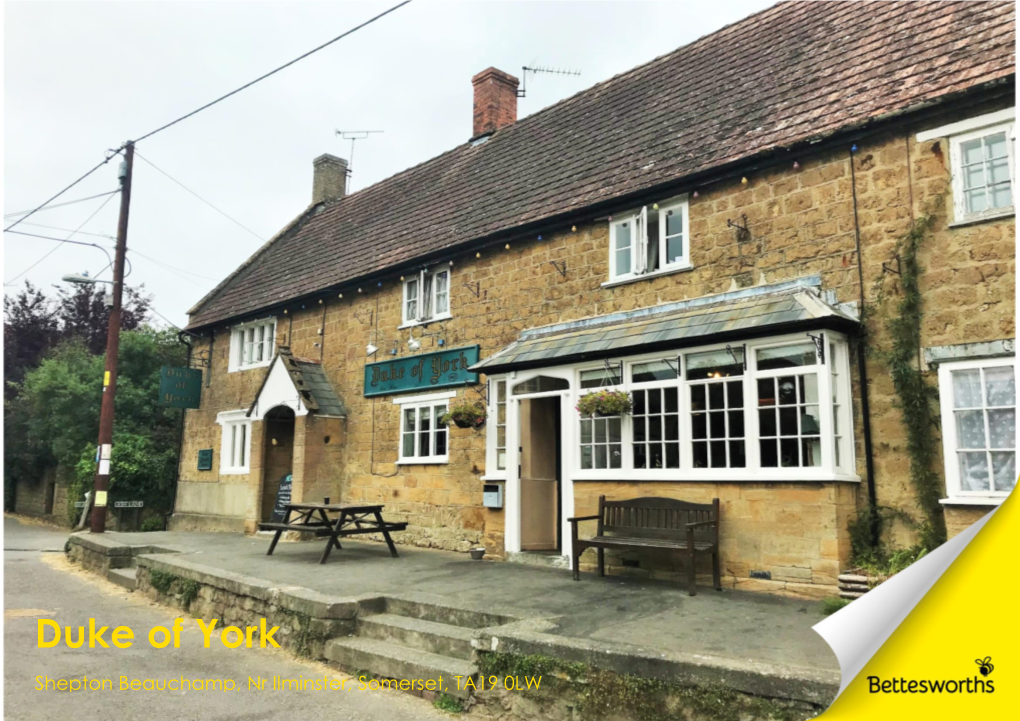 Duke of York Shepton Beauchamp, Nr Ilminster, Somerset, TA19 0LW