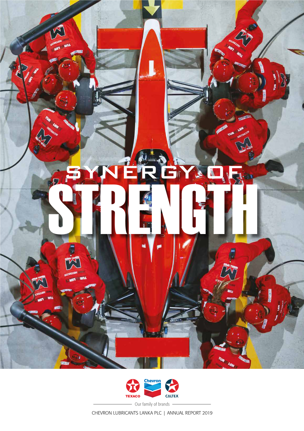 Annual Report 2019 Report Annual Strength