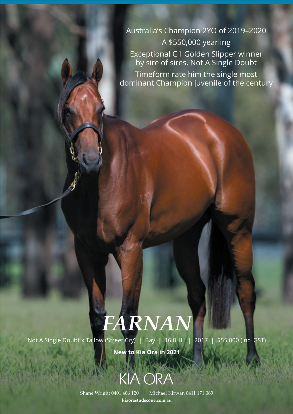 FARNAN Not a Single Doubt X Tallow (Street Cry) | Bay | 16.0HH | 2017 | $55,000 (Inc