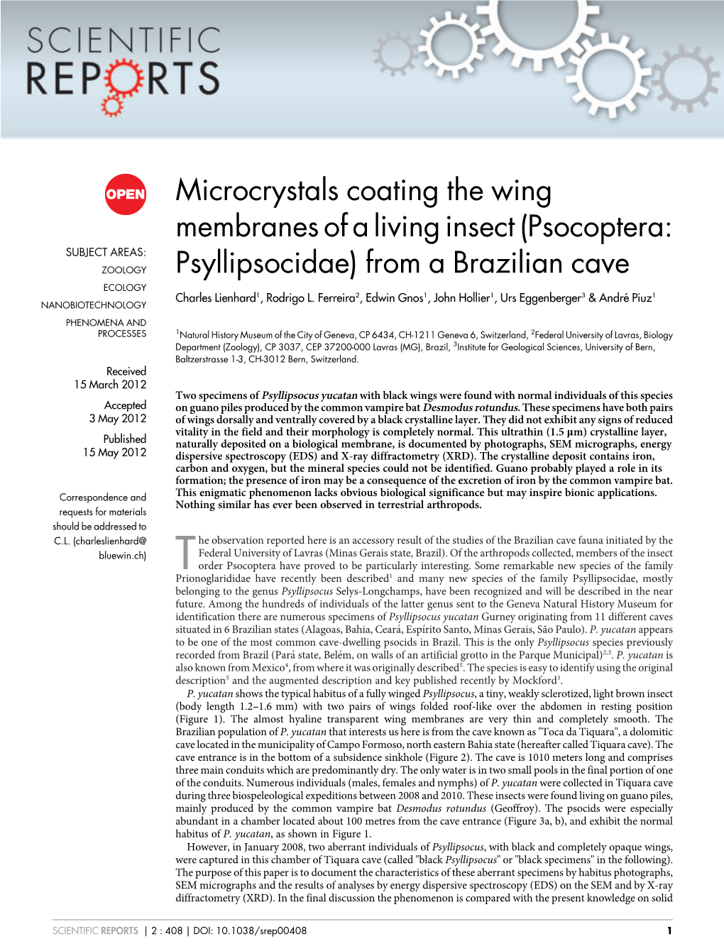 (Psocoptera: Psyllipsocidae) from a Brazilian Cave