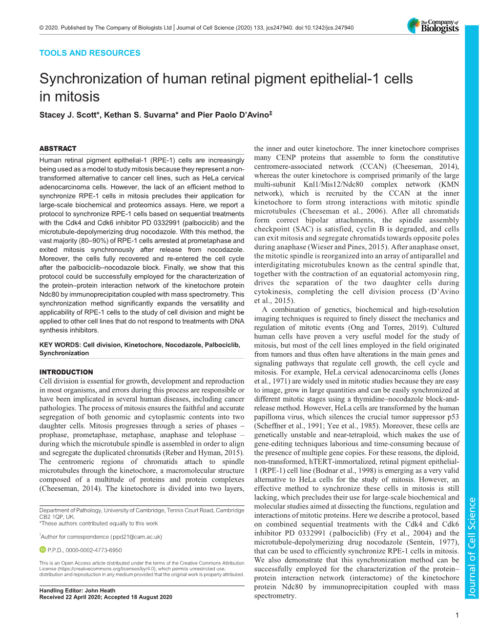 Synchronization of Human Retinal Pigment Epithelial-1 Cells in Mitosis Stacey J