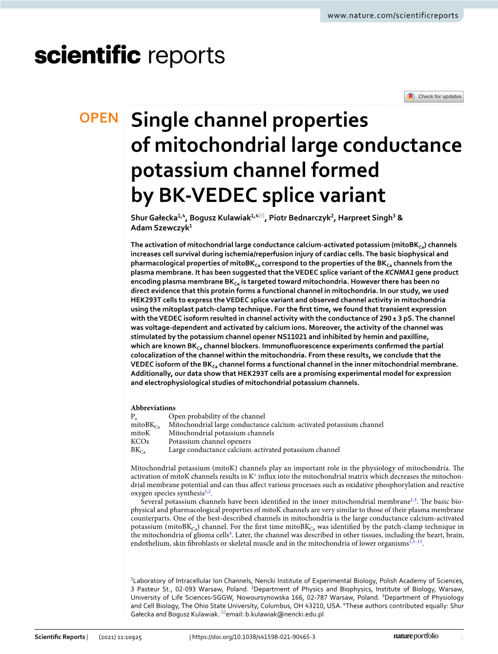 Single Channel Properties of Mitochondrial Large Conductance Potassium Channel Formed by BK-VEDEC Splice Variant