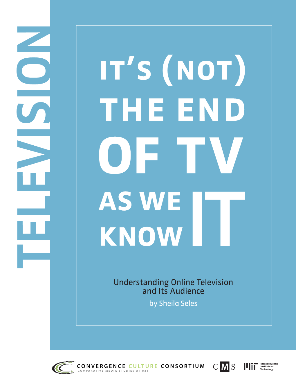 Understanding Online Television and Its Audience