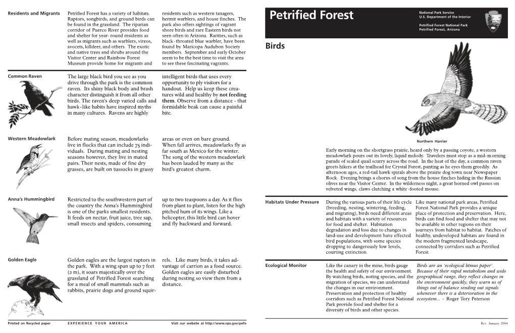 Petrified Forest Has a Variety of Habitats