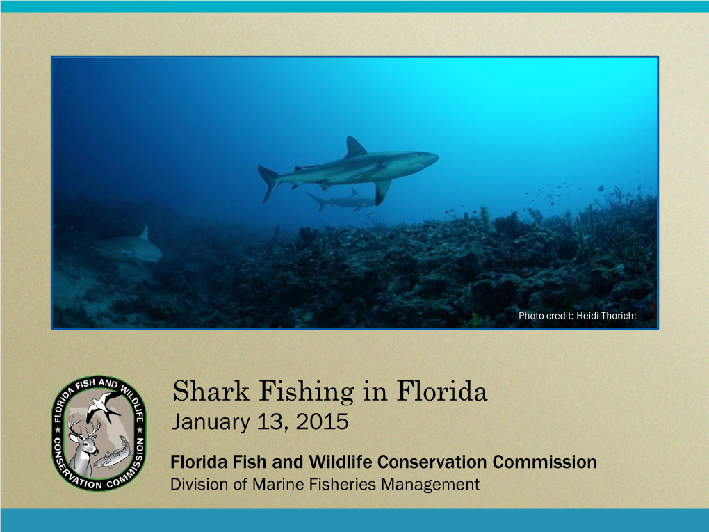 Shark Fishing in Florida January 13, 2015 Florida Fish and Wildlife Conservation Commission Division of Marine Fisheries Management Importance of Sharks