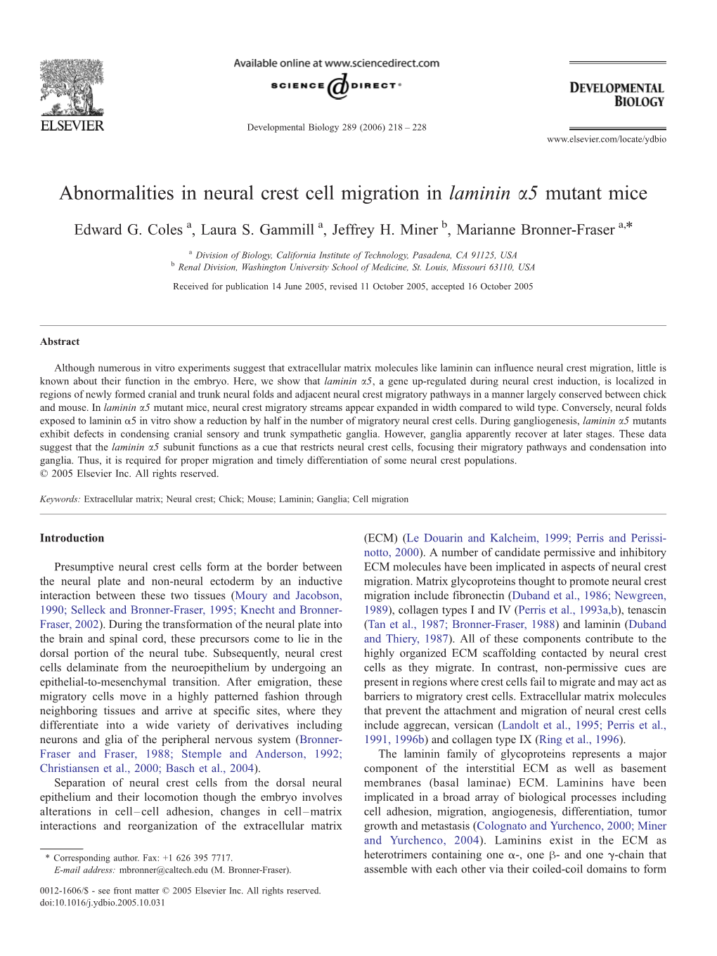 Abnormalities in Neural Crest Cell Migration in Laminin A5 Mutant Mice