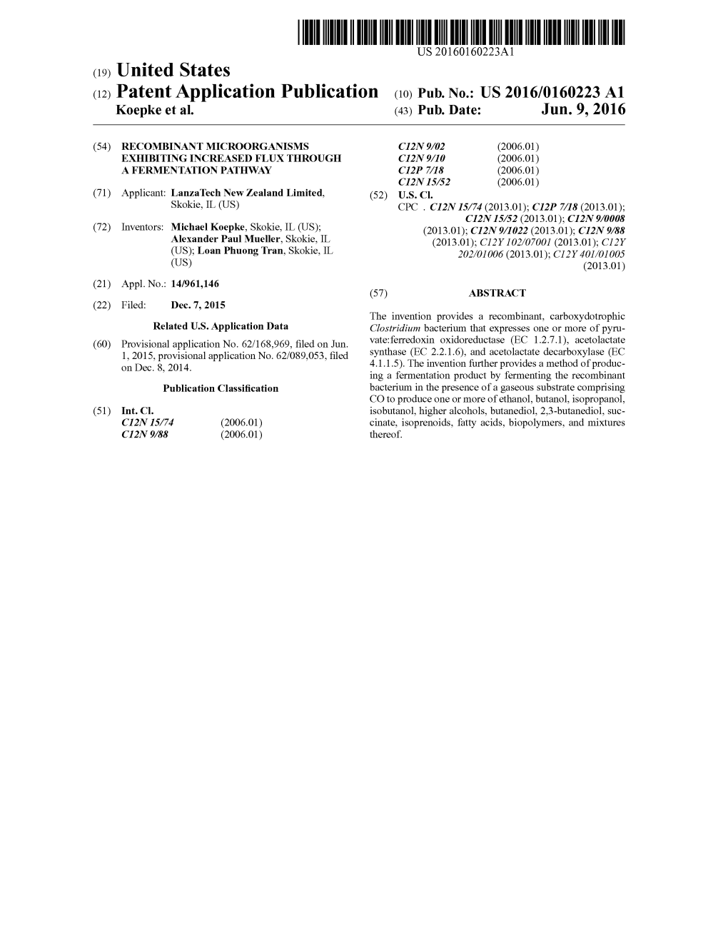 (12) Patent Application Publication (10) Pub. No.: US 2016/0160223 A1 Koepke Et Al