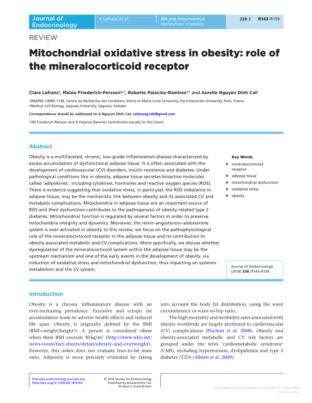 Mitochondrial Oxidative Stress in Obesity: Role of the Mineralocorticoid Receptor