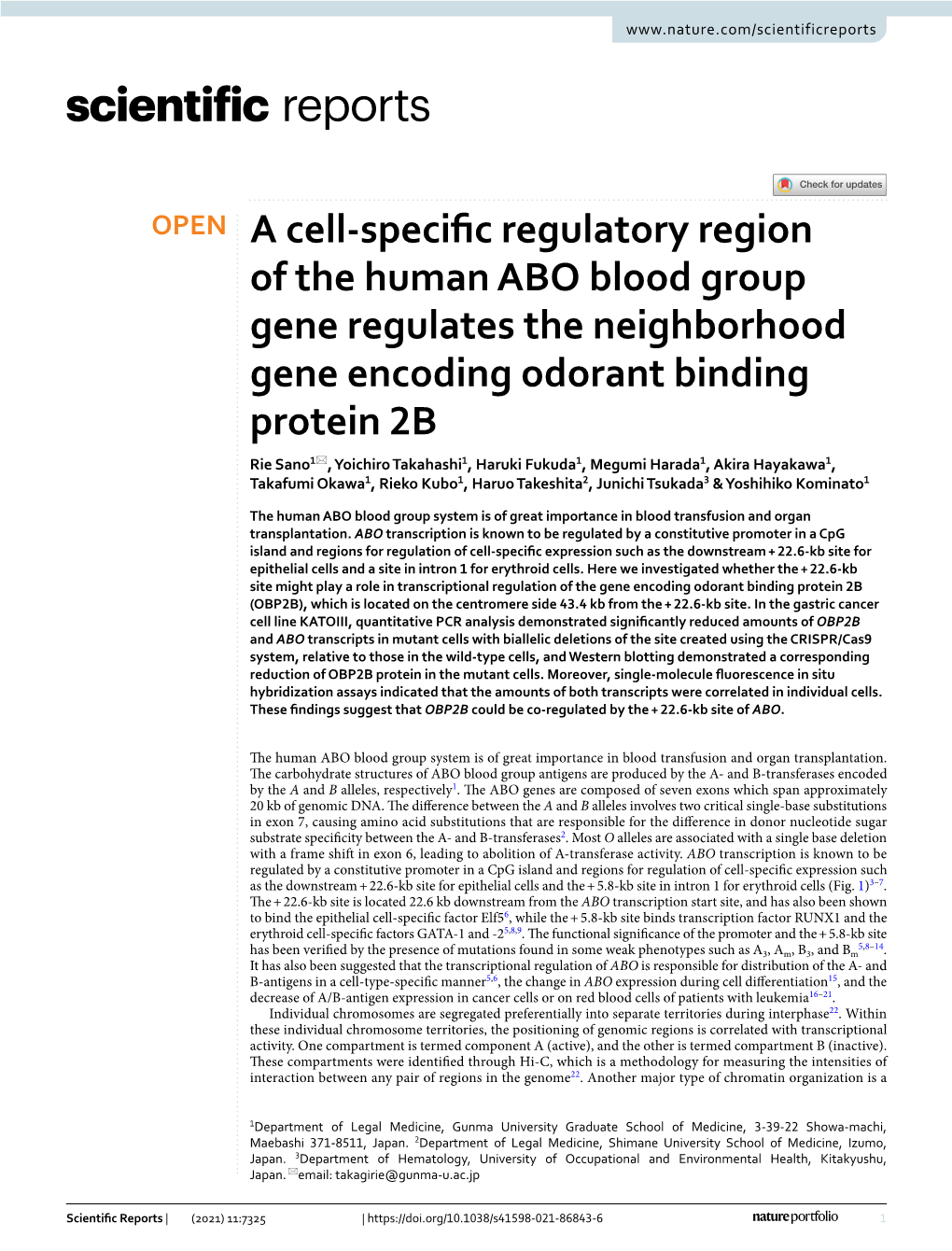 A Cell-Specific Regulatory Region of the Human ABO Blood Group Gene