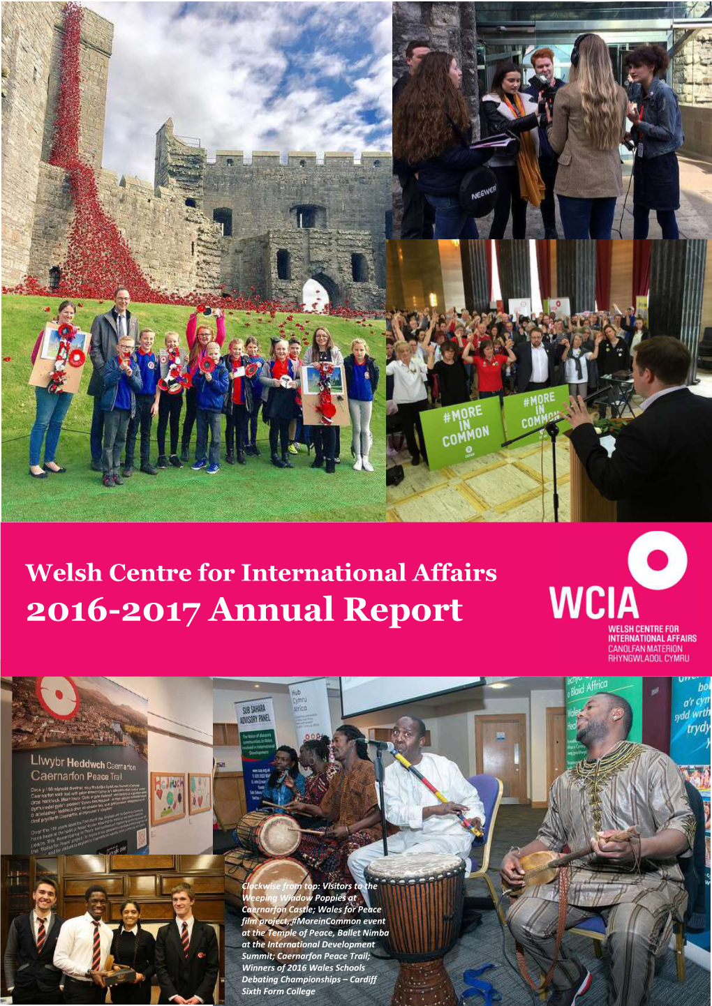 2016-17 Annual Report and Accounts