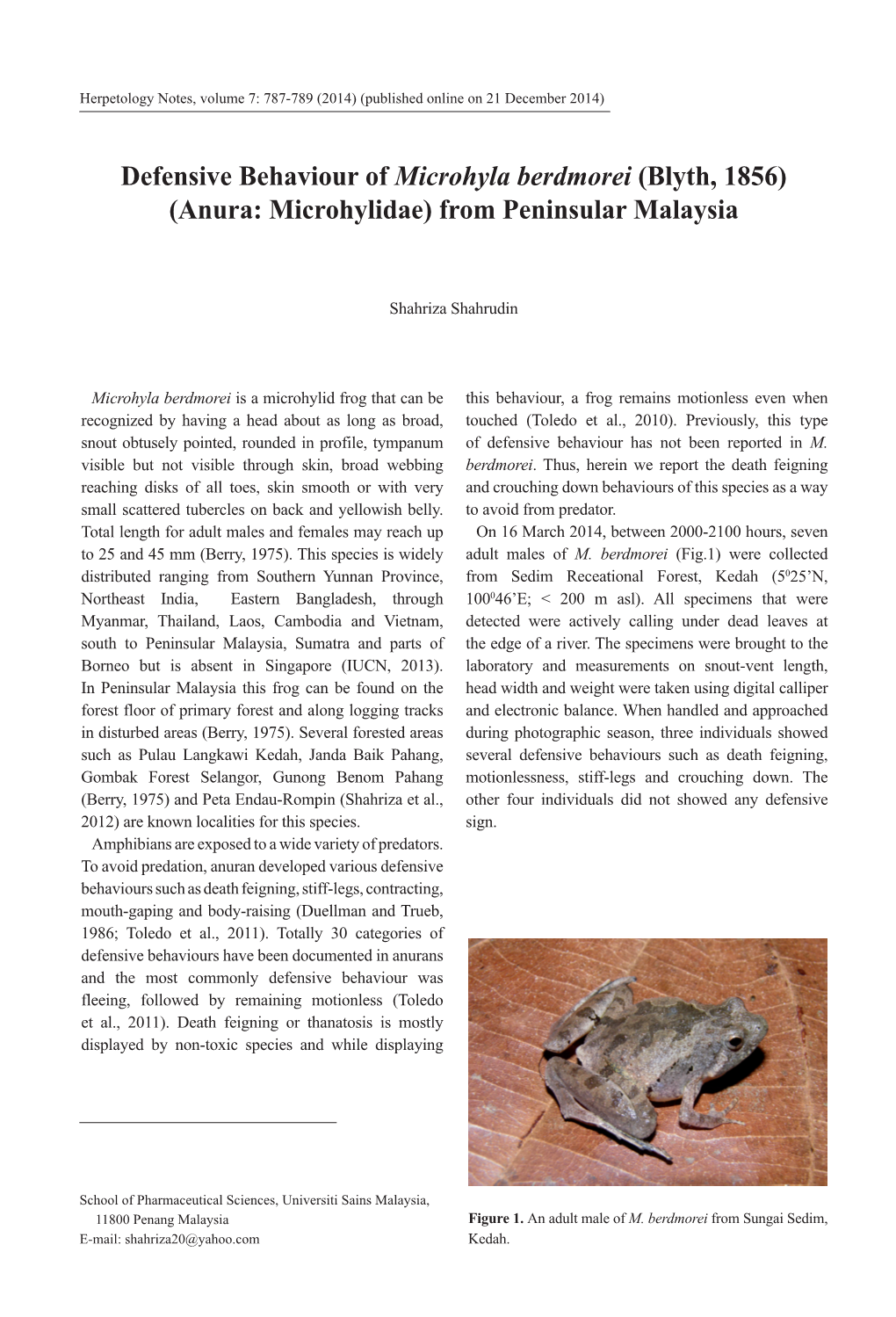 Defensive Behaviour of Microhyla Berdmorei (Blyth, 1856) (Anura: Microhylidae) from Peninsular Malaysia