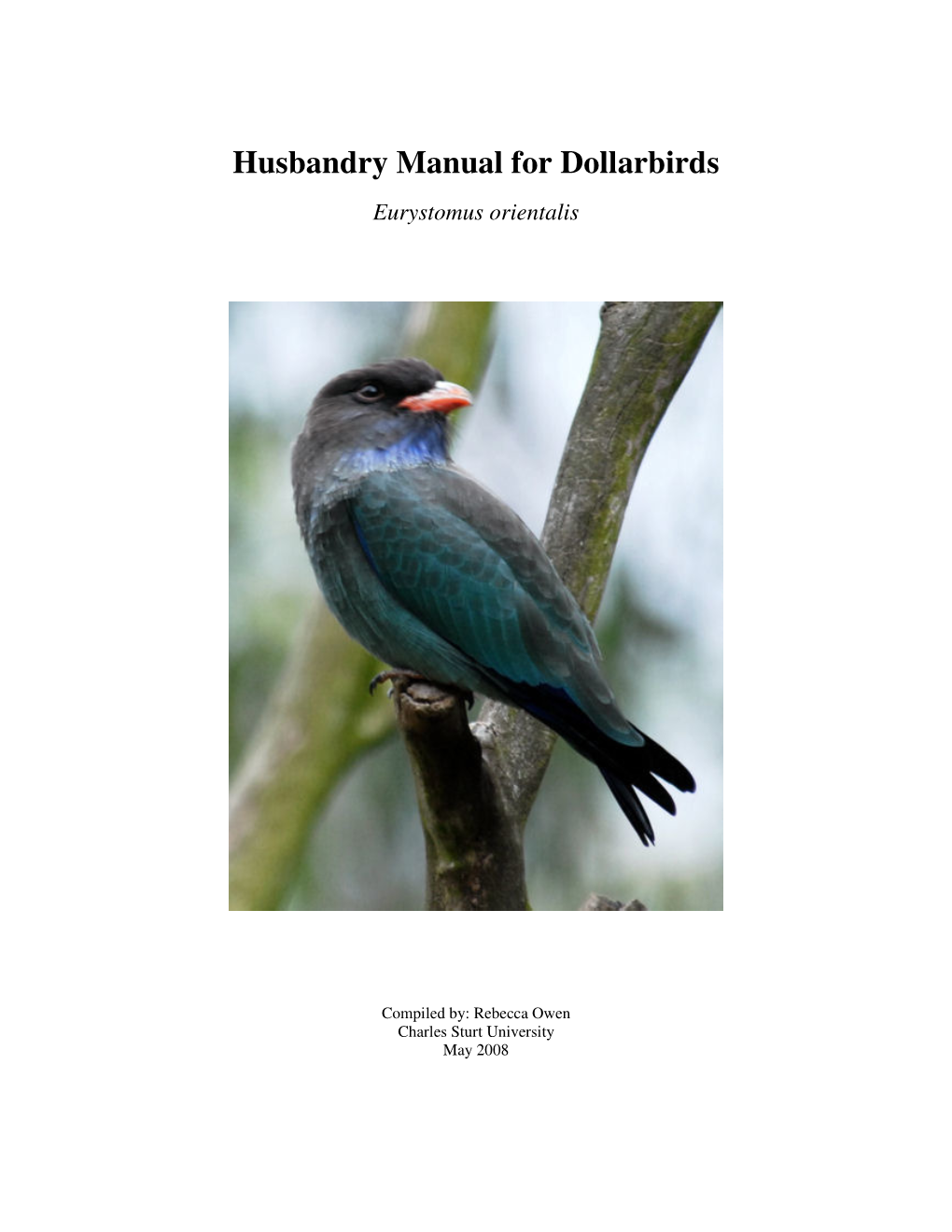 Husbandry Manual for Dollarbirds