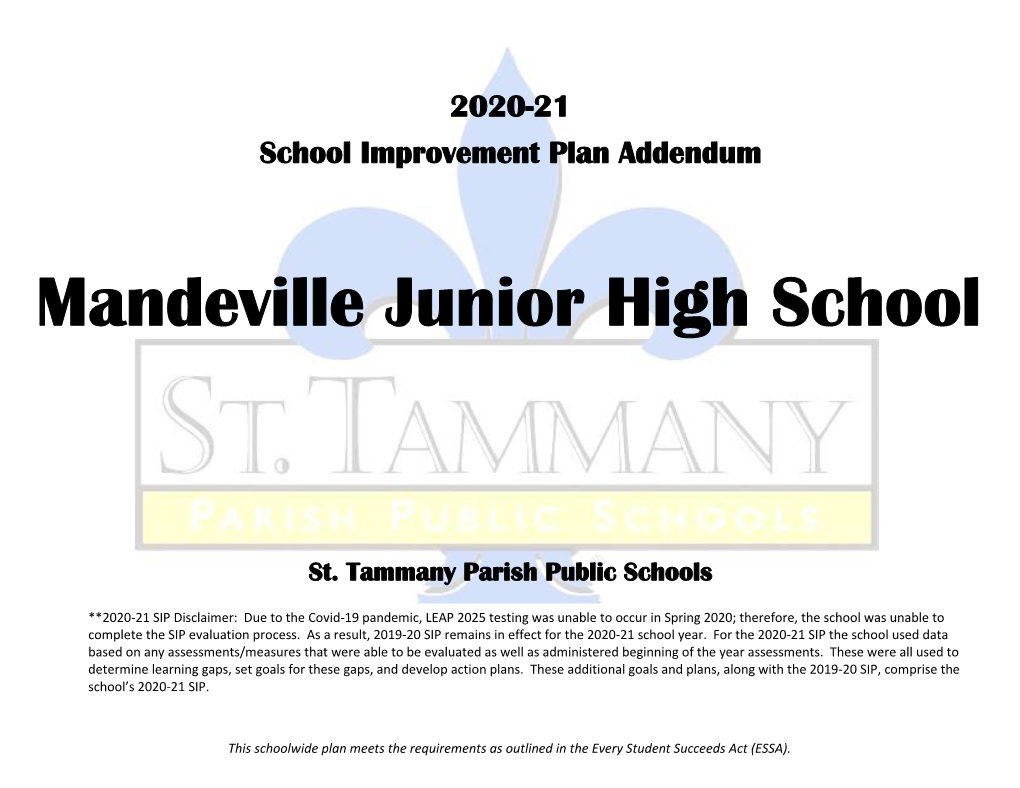 2020-21 School Improvement Plan Addendum