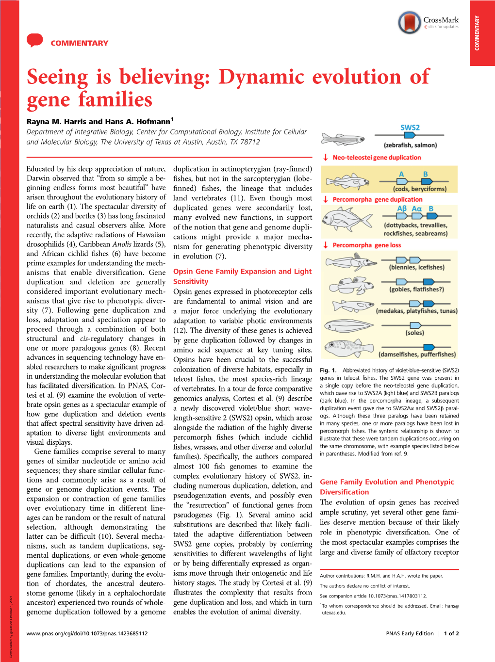 Dynamic Evolution of Gene Families Rayna M