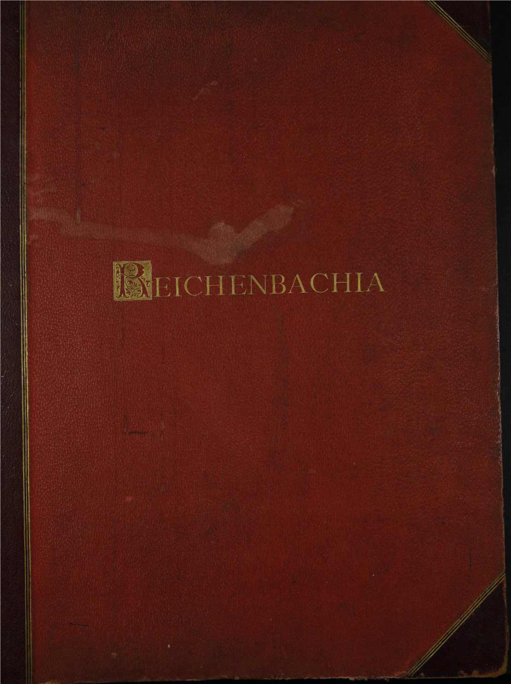 S 128572-1-2 SANDER Reichebachia 1890.Pdf